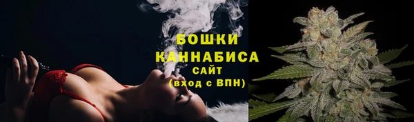 apvp Осташков