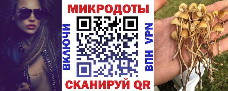 блэк спрут tor  Кедровый  Галлюциногенные грибы GOLDEN TEACHER 